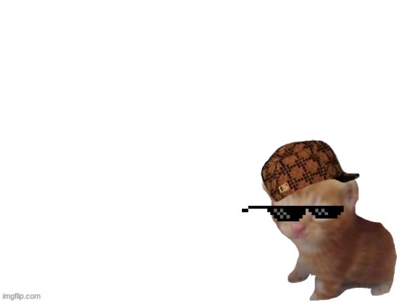i added a hat | image tagged in cat,blank white template,sunglasses | made w/ Imgflip meme maker