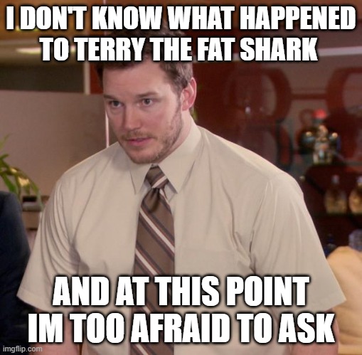 Afraid To Ask Andy Meme | I DON'T KNOW WHAT HAPPENED TO TERRY THE FAT SHARK; AND AT THIS POINT IM TOO AFRAID TO ASK | image tagged in memes,afraid to ask andy | made w/ Imgflip meme maker