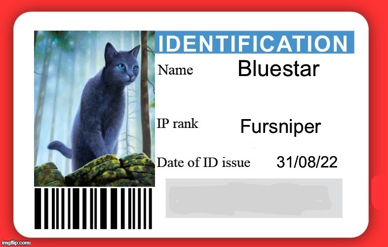 DMV ID Card | Bluestar; Fursniper; 31/08/22 | image tagged in dmv id card | made w/ Imgflip meme maker