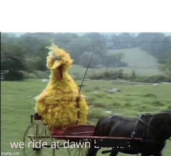 We ride at dawn bitches | image tagged in we ride at dawn bitches | made w/ Imgflip meme maker