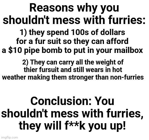 Reason you shouldn't mess with furries | Reasons why you shouldn't mess with furries:; 1) they spend 100s of dollars for a fur suit so they can afford a $10 pipe bomb to put in your mailbox; 2) They can carry all the weight of thier fursuit and still wears in hot weather making them stronger than non-furries; Conclusion: You shouldn't mess with furries, they will f**k you up! | image tagged in blank white template | made w/ Imgflip meme maker