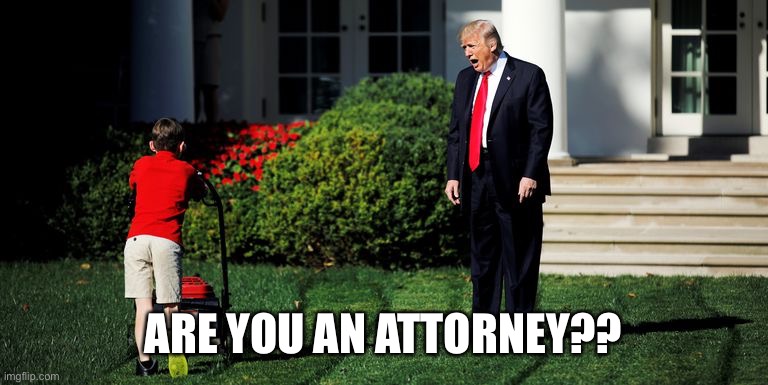 Trump-Kid-Mowing | ARE YOU AN ATTORNEY?? | image tagged in trump-kid-mowing | made w/ Imgflip meme maker