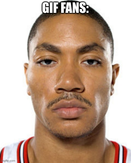 Derrick Rose Straight Face | GIF FANS: | image tagged in derrick rose straight face | made w/ Imgflip meme maker