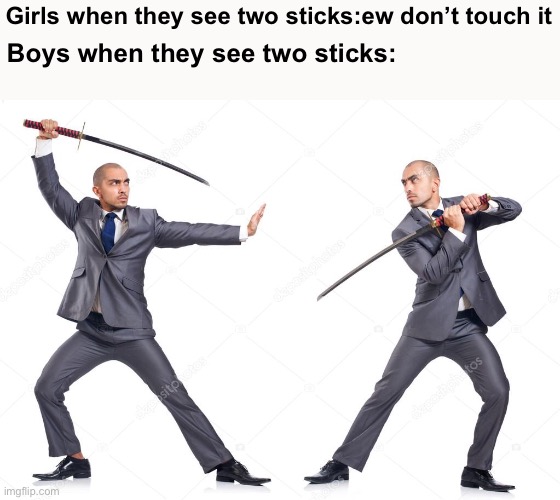 Girls when they see two sticks:ew don’t touch it; Boys when they see two sticks: | image tagged in boys vs girls | made w/ Imgflip meme maker