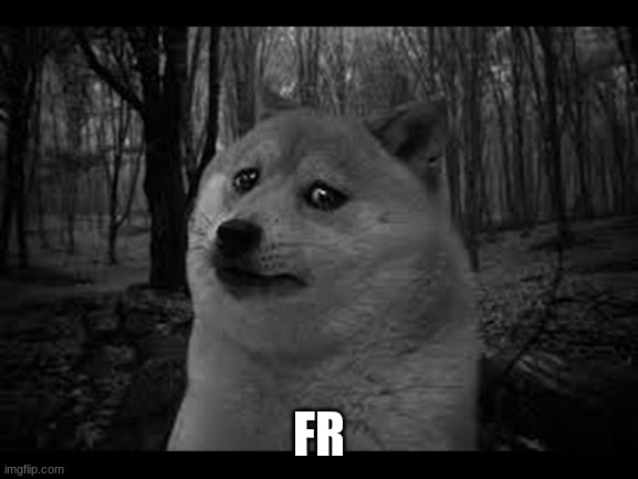 Very sad doge | FR | image tagged in very sad doge | made w/ Imgflip meme maker