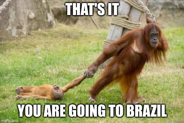 idk anymore | THAT'S IT; YOU ARE GOING TO BRAZIL | image tagged in fun,fun stream,funny memes,funny | made w/ Imgflip meme maker