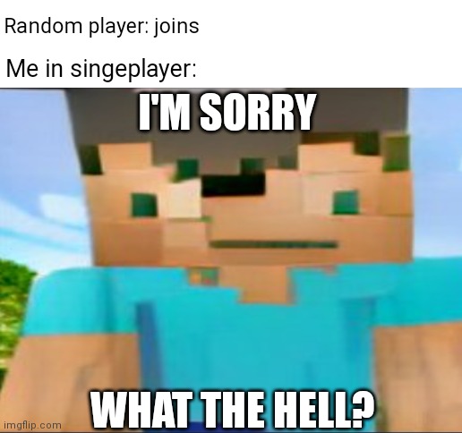 Random player: joins; Me in singeplayer:; I'M SORRY; WHAT THE HELL? | image tagged in blank white template | made w/ Imgflip meme maker