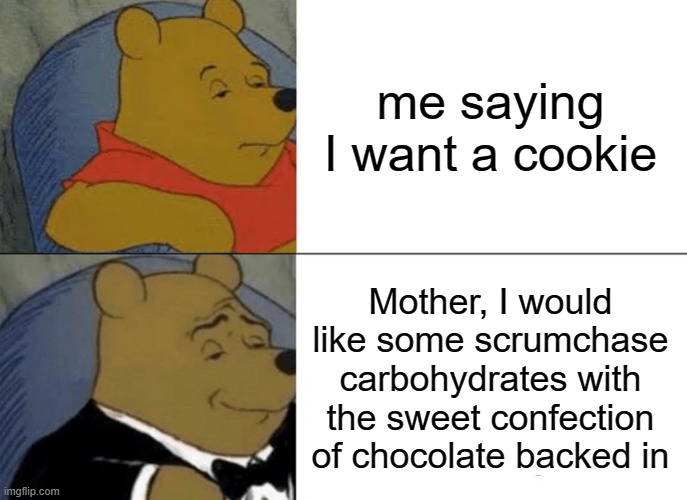 mother I would like cookie | me saying I want a cookie; Mother, I would like some scrumchase carbohydrates with the sweet confection of chocolate backed in | image tagged in memes,tuxedo winnie the pooh | made w/ Imgflip meme maker