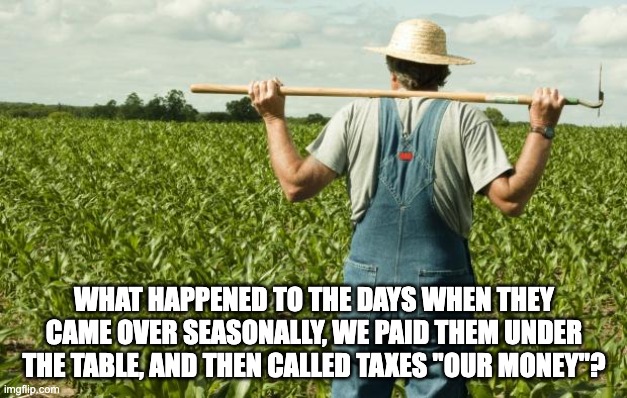 farmer | WHAT HAPPENED TO THE DAYS WHEN THEY CAME OVER SEASONALLY, WE PAID THEM UNDER THE TABLE, AND THEN CALLED TAXES "OUR MONEY"? | image tagged in farmer | made w/ Imgflip meme maker