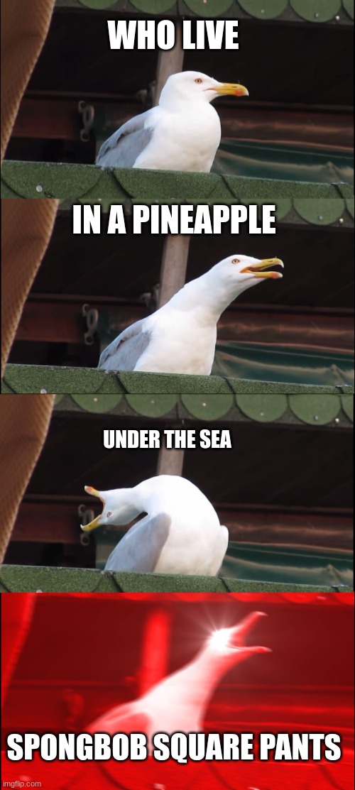 Inhaling Seagull Meme | WHO LIVE; IN A PINEAPPLE; UNDER THE SEA; SPONGBOB SQUARE PANTS | image tagged in memes,inhaling seagull | made w/ Imgflip meme maker