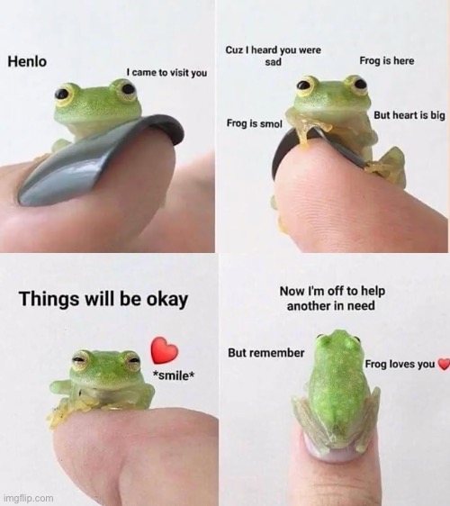 Thanks, little frog | image tagged in wholesome | made w/ Imgflip meme maker