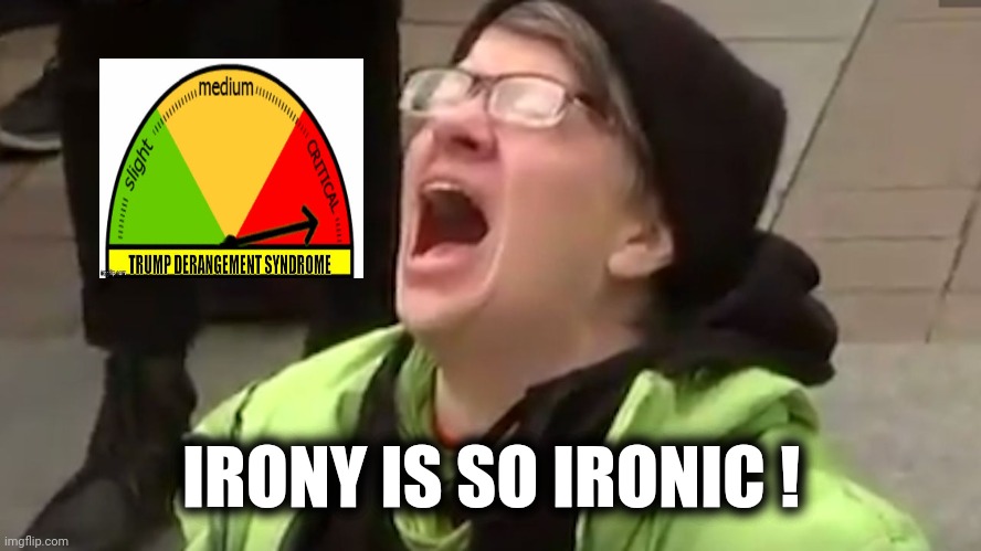 Screaming Liberal  | IRONY IS SO IRONIC ! | image tagged in screaming liberal | made w/ Imgflip meme maker