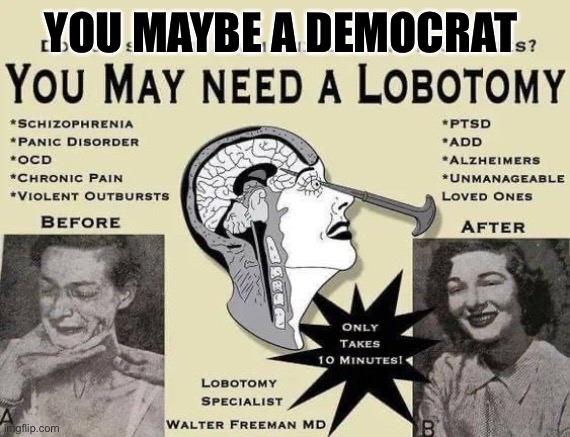 Cure for democrat’tituds | YOU MAYBE A DEMOCRAT | image tagged in vote democrat | made w/ Imgflip meme maker