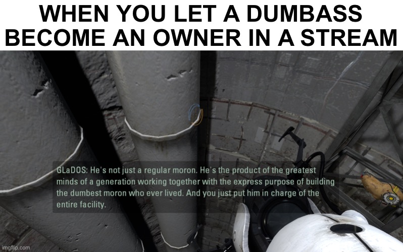glados moron | WHEN YOU LET A DUMBASS BECOME AN OWNER IN A STREAM | image tagged in glados moron | made w/ Imgflip meme maker