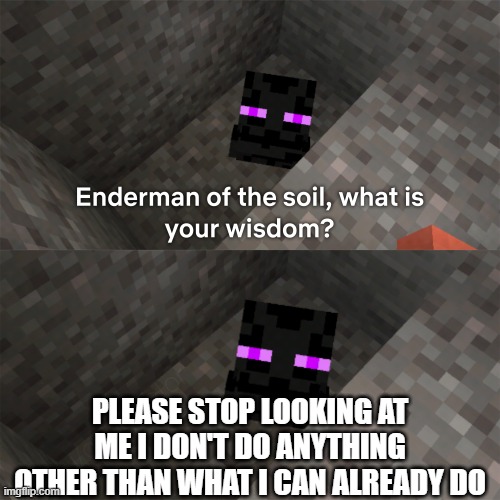 Found this meme while looking at Minecraft memes | PLEASE STOP LOOKING AT ME I DON'T DO ANYTHING OTHER THAN WHAT I CAN ALREADY DO | image tagged in enderman of the soil | made w/ Imgflip meme maker