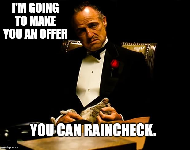 I'm going to make you and offer, you can rain check | I'M GOING TO MAKE YOU AN OFFER; YOU CAN RAINCHECK. | image tagged in godfather,trade offer,raincheck,rain check | made w/ Imgflip meme maker