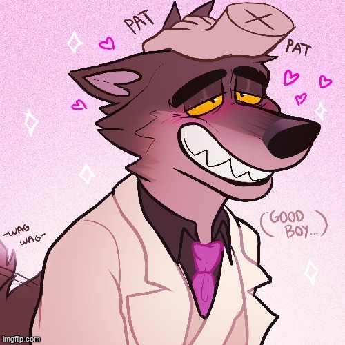 mr wolf is a good boy | image tagged in gayfurrydrawing | made w/ Imgflip meme maker