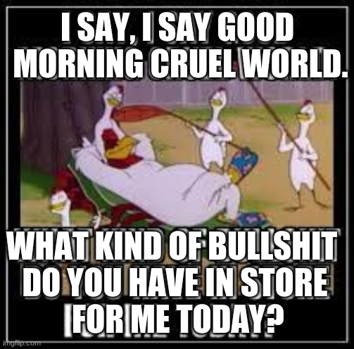 good moring | I SAY, I SAY GOOD 
MORNING CRUEL WORLD. WHAT KIND OF BULLSHIT 
DO YOU HAVE IN STORE
 FOR ME TODAY? | image tagged in yay kitty | made w/ Imgflip meme maker