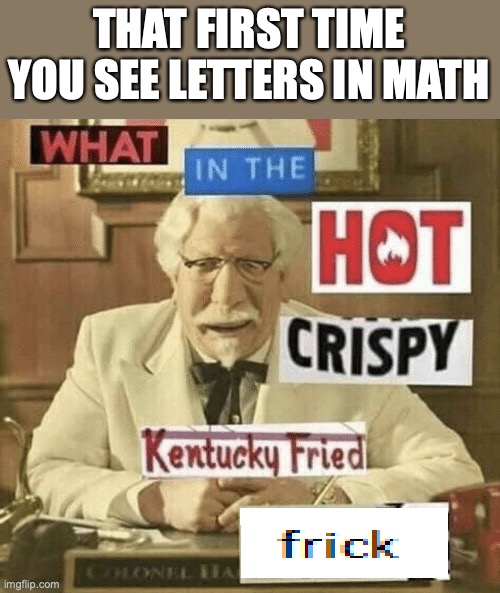 what in the hot crispy kentucky fried frick | THAT FIRST TIME YOU SEE LETTERS IN MATH | image tagged in what in the hot crispy kentucky fried frick | made w/ Imgflip meme maker