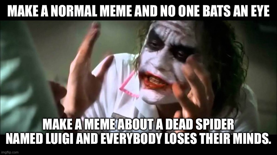 Anyone remember Luigi? No? Just me? | MAKE A NORMAL MEME AND NO ONE BATS AN EYE; MAKE A MEME ABOUT A DEAD SPIDER NAMED LUIGI AND EVERYBODY LOSES THEIR MINDS. | image tagged in i,made a meme,about a spider called luigi and it was a huge hit,now im making fun of it | made w/ Imgflip meme maker