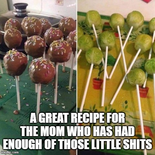 A GREAT RECIPE FOR THE MOM WHO HAS HAD ENOUGH OF THOSE LITTLE SHITS | image tagged in cake pops,chocolate,prank,troll,brussel sprouts | made w/ Imgflip meme maker