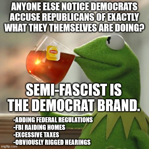 But That's None Of My Business Meme | ANYONE ELSE NOTICE DEMOCRATS ACCUSE REPUBLICANS OF EXACTLY WHAT THEY THEMSELVES ARE DOING? SEMI-FASCIST IS THE DEMOCRAT BRAND. -ADDING FEDER | image tagged in memes,but that's none of my business,kermit the frog | made w/ Imgflip meme maker