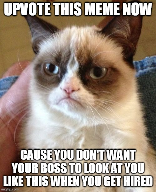 Grumpy Cat |  UPVOTE THIS MEME NOW; CAUSE YOU DON'T WANT YOUR BOSS TO LOOK AT YOU LIKE THIS WHEN YOU GET HIRED | image tagged in memes,grumpy cat | made w/ Imgflip meme maker