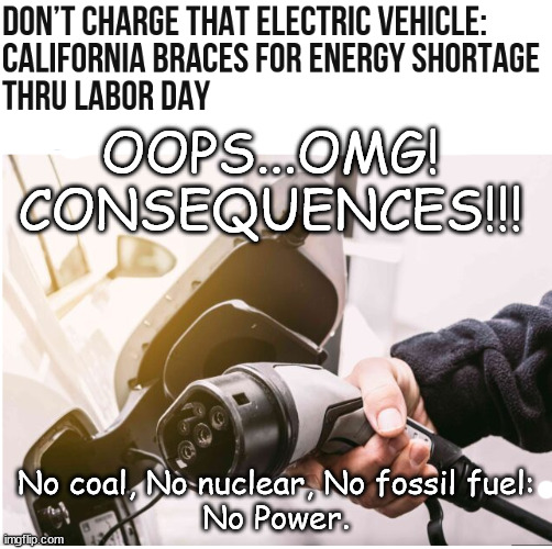 GO GREEN! Grow roots. You ain't goin' nowhere! | OOPS...OMG!
CONSEQUENCES!!! No coal, No nuclear, No fossil fuel:
No Power. | image tagged in memes,politics | made w/ Imgflip meme maker