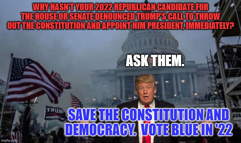 To paraphrase George W. Bush, "You're either for America, or you're against it. | WHY HASN'T YOUR 2022 REPUBLICAN CANDIDATE FOR THE HOUSE OR SENATE DENOUNCED TRUMP'S CALL TO THROW OUT THE CONSTITUTION AND APPOINT HIM PRESIDENT, IMMEDIATELY? ASK THEM. SAVE THE CONSTITUTION AND DEMOCRACY.  VOTE BLUE IN '22 | image tagged in misconstrued coup | made w/ Imgflip meme maker