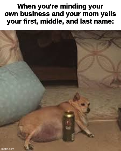 Bruh leave me be. | When you're minding your own business and your mom yells your first, middle, and last name: | image tagged in lazy dog | made w/ Imgflip meme maker