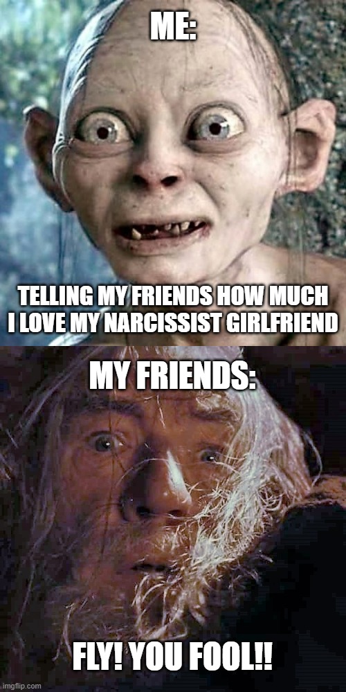 It's Precious | ME:; TELLING MY FRIENDS HOW MUCH I LOVE MY NARCISSIST GIRLFRIEND; MY FRIENDS:; FLY! YOU FOOL!! | image tagged in fly you fool,funny memes,narcissist,bad romance,gandolf,gollum | made w/ Imgflip meme maker