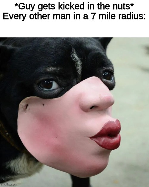 Oof... | *Guy gets kicked in the nuts*
Every other man in a 7 mile radius: | image tagged in ooooh dog | made w/ Imgflip meme maker