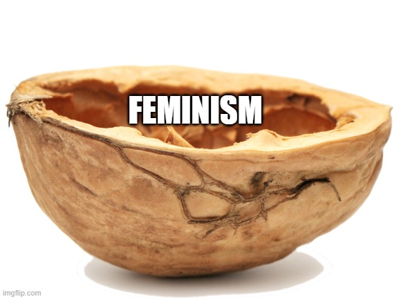 FEMINISM | made w/ Imgflip meme maker