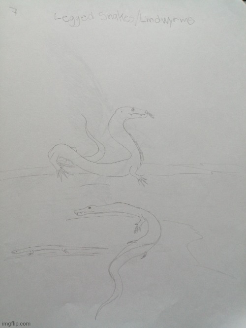 #7: legged snakes | image tagged in drawing,fantasy,creatures,dragon | made w/ Imgflip meme maker