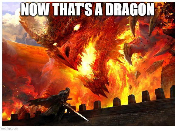 NOW THAT'S A DRAGON | made w/ Imgflip meme maker