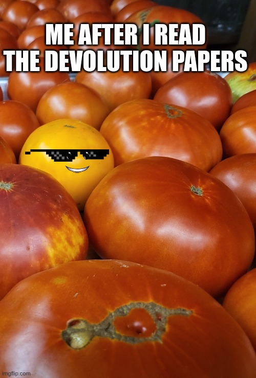 Tomato smile | ME AFTER I READ THE DEVOLUTION PAPERS | image tagged in vegetables,tomato | made w/ Imgflip meme maker