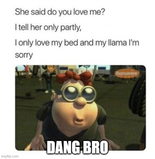 She said do you love me | DANG BRO | image tagged in only partly | made w/ Imgflip meme maker