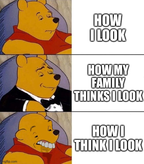 fax | HOW I LOOK; HOW MY FAMILY THINKS I LOOK; HOW I THINK I LOOK | image tagged in best better blurst,family,looks | made w/ Imgflip meme maker
