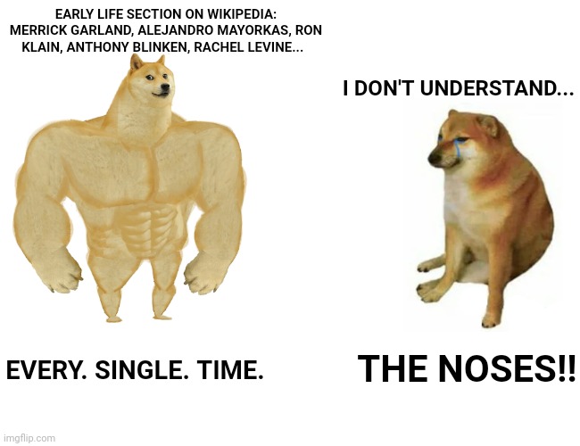 Buff Doge vs. Cheems Meme | EARLY LIFE SECTION ON WIKIPEDIA: MERRICK GARLAND, ALEJANDRO MAYORKAS, RON KLAIN, ANTHONY BLINKEN, RACHEL LEVINE... I DON'T UNDERSTAND... EVERY. SINGLE. TIME. THE NOSES!! | image tagged in memes,buff doge vs cheems | made w/ Imgflip meme maker