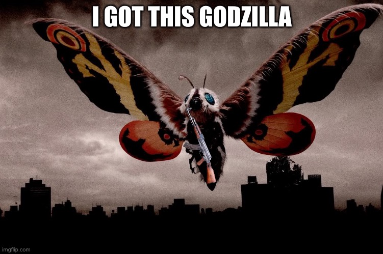 Mothra | I GOT THIS GODZILLA | image tagged in mothra | made w/ Imgflip meme maker