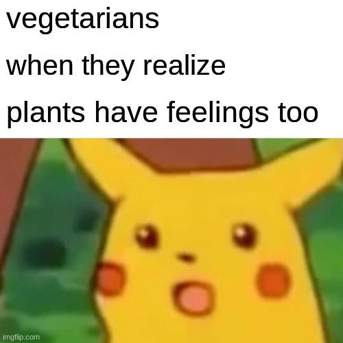 Surprised Pikachu | vegetarians; when they realize; plants have feelings too | image tagged in memes,surprised pikachu | made w/ Imgflip meme maker