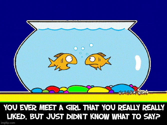 Goldfish Bowl Jokes: Dating in the Fish World | YOU EVER MEET A GIRL THAT YOU REALLY REALLY
LIKED, BUT JUST DIDN'T KNOW WHAT TO SAY? | image tagged in vince vance,aquariums,memes,goldfish bowl,dating,fish | made w/ Imgflip meme maker