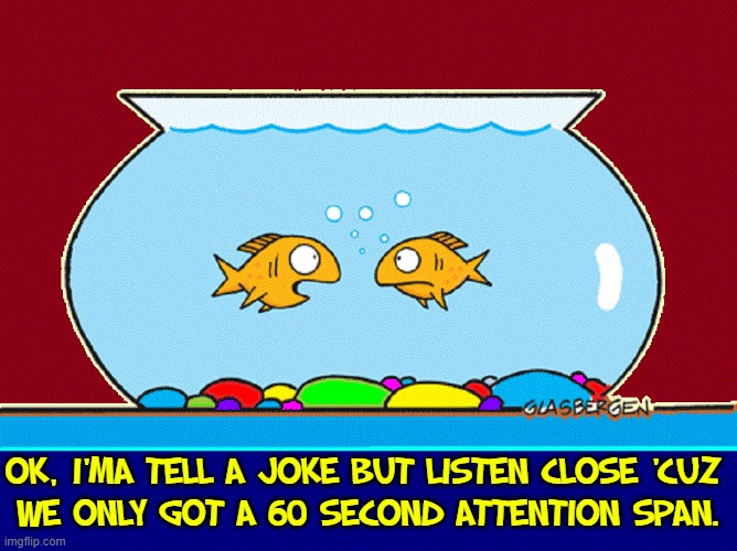 It's true!! Goldfish can talk! | OK, I'MA TELL A JOKE BUT LISTEN CLOSE 'CUZ 
WE ONLY GOT A 60 SECOND ATTENTION SPAN. | image tagged in vince vance,goldfish,memes,talking fish,short,attention span | made w/ Imgflip meme maker