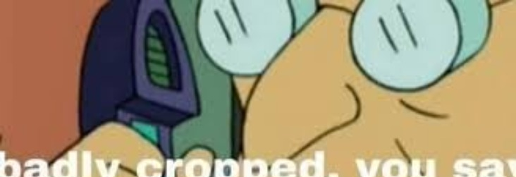 badly cropped you say Blank Meme Template
