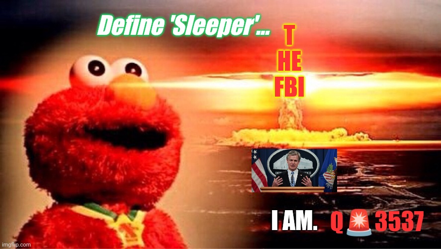 FBI Dir. Christopher Wray knows the Answer: #Q3537 FUTURE MARKER. | Define 'Sleeper'... T
HE
FBI; Q🚨3537; I AM. | image tagged in elmo nuclear explosion,fbi,the end is near,donald trump approves,qanon,the great awakening | made w/ Imgflip meme maker