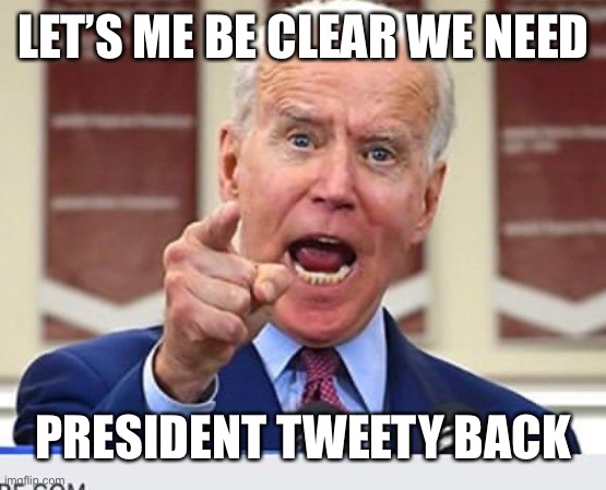 Joe Biden no malarkey | LET’S ME BE CLEAR WE NEED; PRESIDENT TWEETY BACK | image tagged in joe biden no malarkey | made w/ Imgflip meme maker