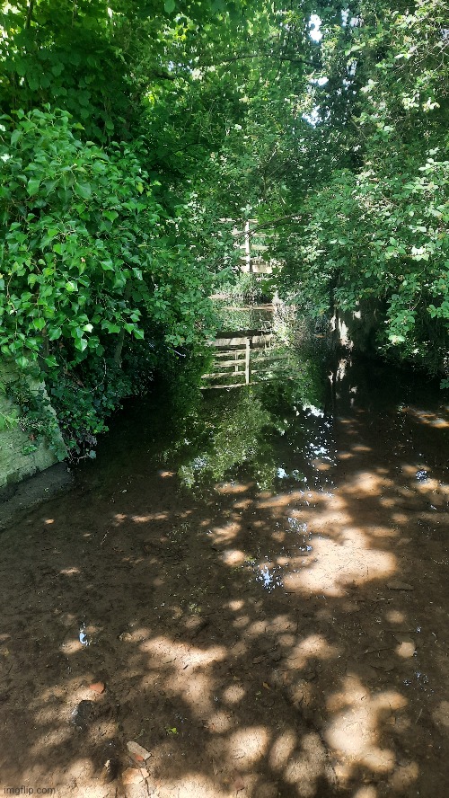 Just discovered this stream. (NOT the one in the photo lol!). Here's a picture of a river running through Lacock village i took  | image tagged in photos,phone,scenery,scenic,green | made w/ Imgflip meme maker