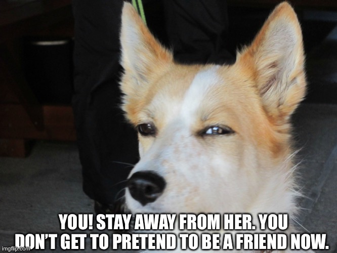 skeptical dog | YOU! STAY AWAY FROM HER. YOU DON’T GET TO PRETEND TO BE A FRIEND NOW. | image tagged in skeptical dog | made w/ Imgflip meme maker