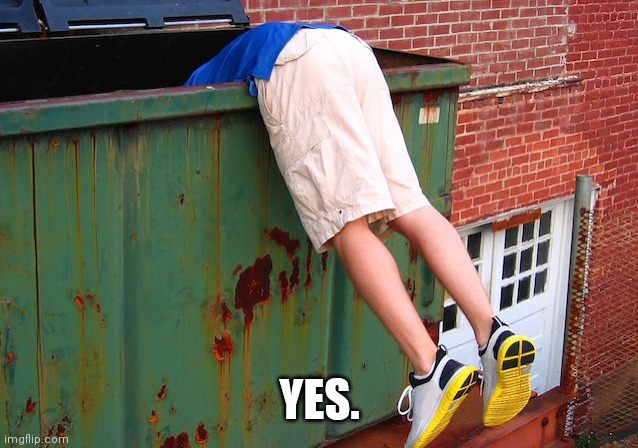 Dumpster Dive | YES. | image tagged in dumpster dive | made w/ Imgflip meme maker