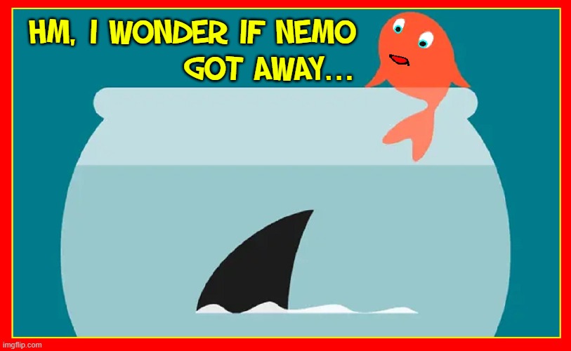 How did Jaws get in my bowl, anyway? | HM, I WONDER IF NEMO 
            GOT AWAY... | image tagged in vince vance,goldfish bowl,shark,memes,jaws,finding nemo | made w/ Imgflip meme maker